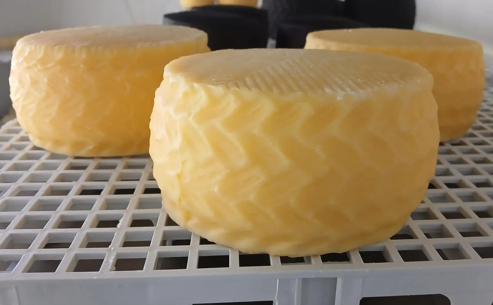 Imagem manchete principal